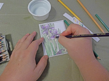 Mixed Media Tutorial: Learn how to Combine Colored Pencils and Watercolors  — Art is Fun